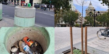 A Catalá se le mueren los granados y otros árboles del entorno de la Plaza del Ajuntament este verano