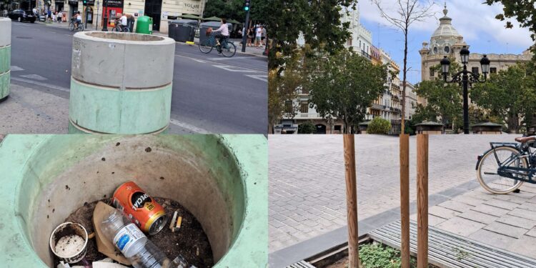 A Catalá se le mueren los granados y otros árboles del entorno de la Plaza del Ajuntament este verano