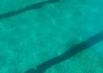 Ciudadanos Moncada denuncia el abandono de la piscina municipal de verano