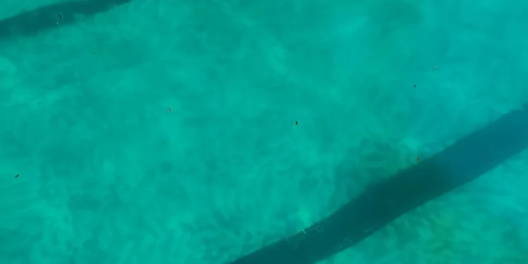 Ciudadanos Moncada denuncia el abandono de la piscina municipal de verano