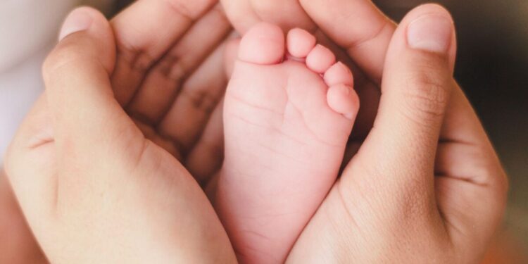 Abierto el plazo para solicitar las ayudas ‘Primeros Pasos 2025’ destinadas a autónomos que han sido padres 1 1015 Primers passos scaled 1