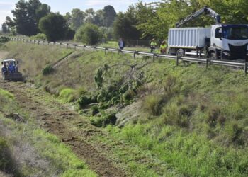 1024 Neteja barranc del palmaret 2 scaled 1