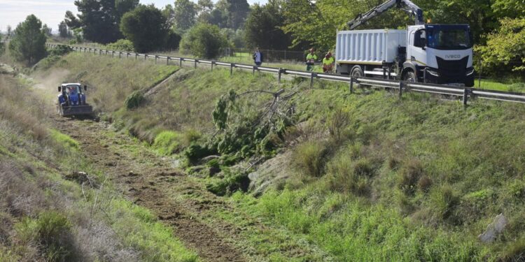 Valencia limpia el barranco del Palmaret en Massarrojos y Carpesa para prevenir inundaciones ante la temporada de lluvias 1 1024 Neteja barranc del palmaret 2 scaled 1