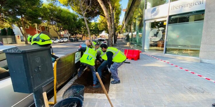 La campaña de plantación de más de 700 árboles continúa en Rascanya, Patraix, Campanar y Extramurs 1 1214 Plantacio arbres Vall de la Ballestera 1 scaled 1