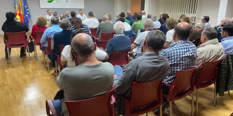 El Consell Agrari de Torrent acoge una charla informativa para agricultores afectados por la DANA 1 El Consell Agrari de Torrent acoge una charla informativa para agricultores afectados por la DANA