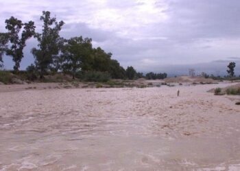 70aef0ec 78bf 418b a220 7b1645606240 16 9 aspect ratio 1600w 0 fotor 20251012195146 scaled 1