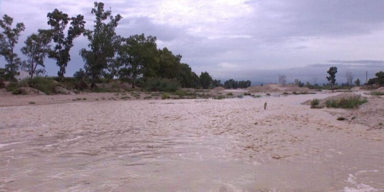 70aef0ec 78bf 418b a220 7b1645606240 16 9 aspect ratio 1600w 0 fotor 20251012195146 scaled 1