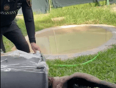 7f71871f 5124 46cd 8aa5 8b4fde21e5ad