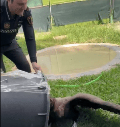 7f71871f 5124 46cd 8aa5 8b4fde21e5ad