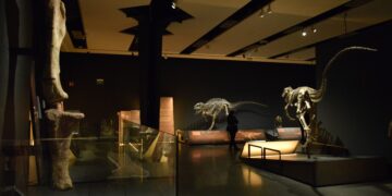 CaixaForum Valencia inaugura la exposición Dinosaurios de la Patagonia