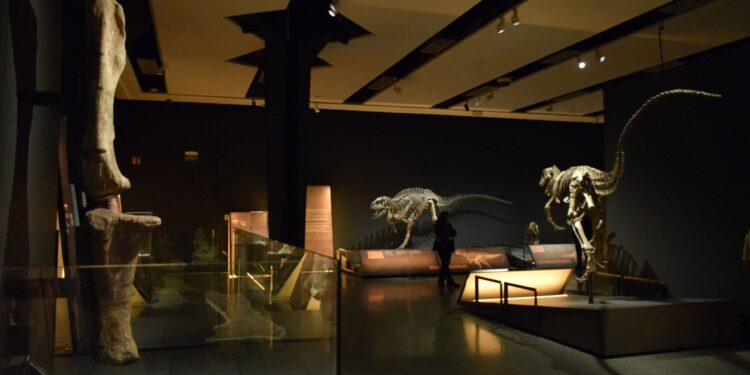 CaixaForum Valencia inaugura la exposición Dinosaurios de la Patagonia