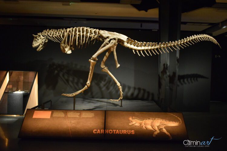 CaixaForum Valencia inaugura la exposición Dinosaurios de la Patagonia