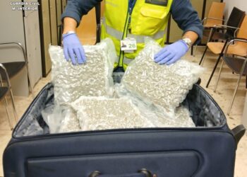 Detenido en el aeropuerto de Manises con casi 18 kilos de marihuana en la maleta 5 Foto 1 8 scaled 1