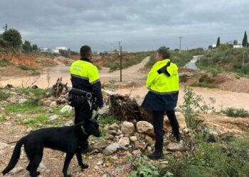 Imagen de WhatsApp 2025 10 11 a las 12.30.13 ce95331a scaled 1