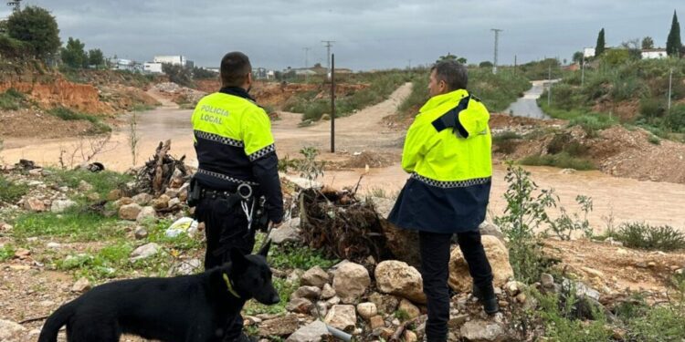 Imagen de WhatsApp 2025 10 11 a las 12.30.13 ce95331a scaled 1