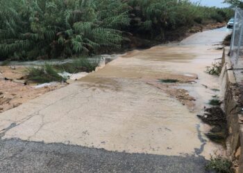 Imagen de WhatsApp 2025 10 11 a las 12.44.05 42c3e5ce scaled 1