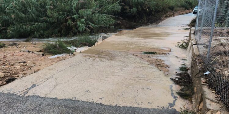 Imagen de WhatsApp 2025 10 11 a las 12.44.05 42c3e5ce scaled 1