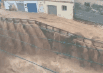 Pradas cecopi mazon dana 9 scaled 1