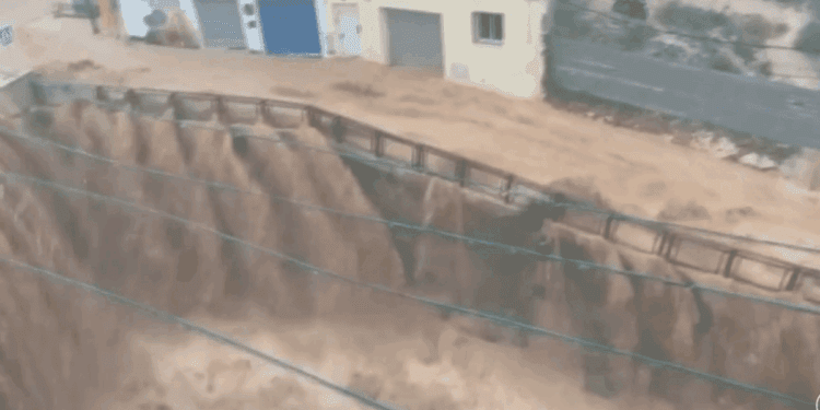 Pradas cecopi mazon dana 9 scaled 1