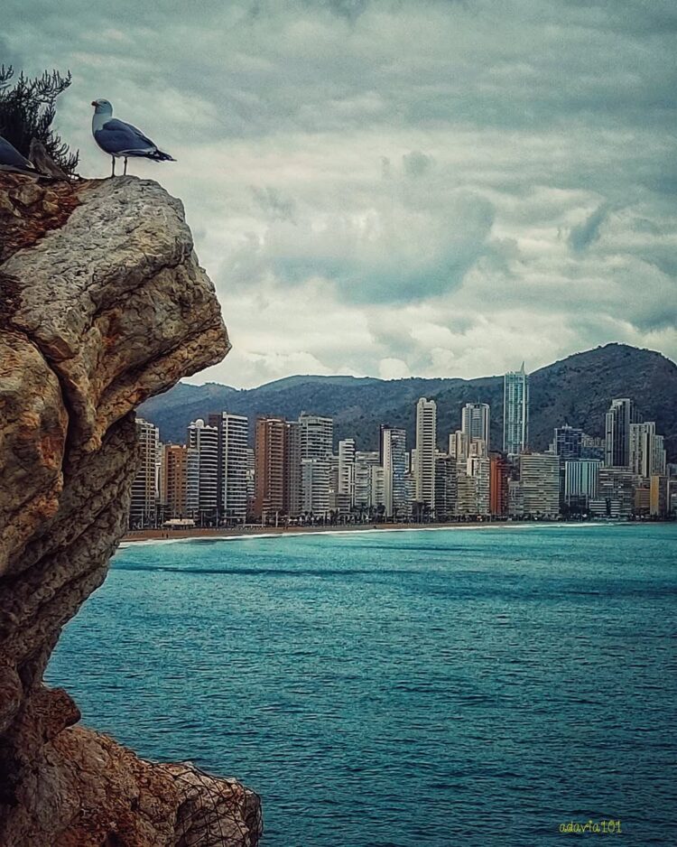Once imágenes de la Comunidad Valenciana pasan a la final estatal en el quinto certamen de fotografía en Instagram «Mi Rincón Favorito»