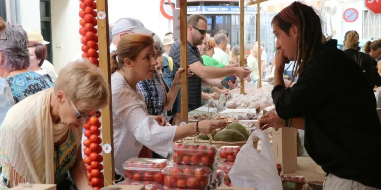 Alcalà de Chivert celebra la XIª Fira de la Tomata de Penjar: tradición, sabor y cultura local 1 Alcalà de Chivert celebra la XIª Fira de la Tomata de Penjar: tradición, sabor y cultura local