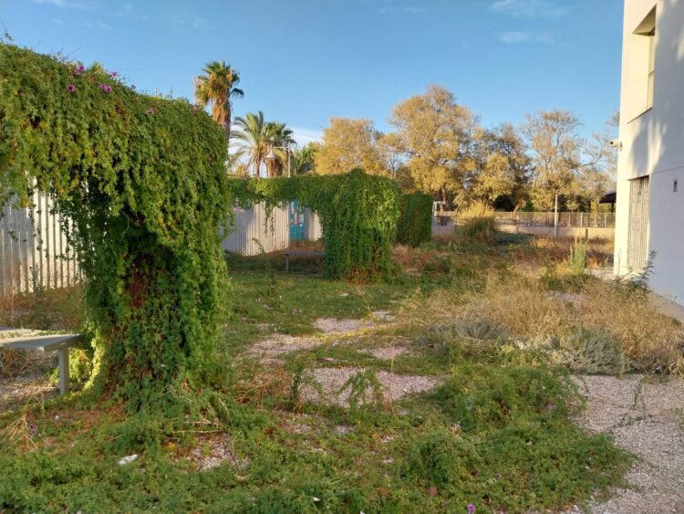 Catalá abandona la Universitat Popular de Nazaret, chabolismo y patio abandonado en un edificio municipal