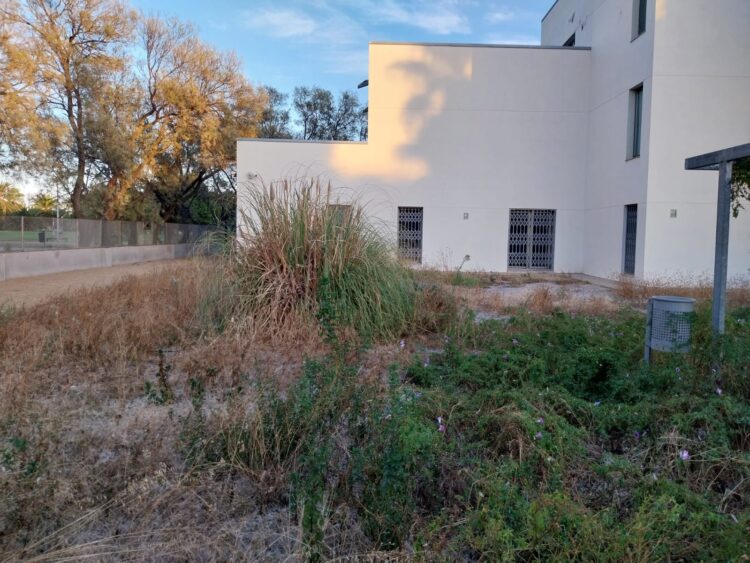 Catalá abandona la Universitat Popular de Nazaret, chabolismo y patio abandonado en un edificio municipal