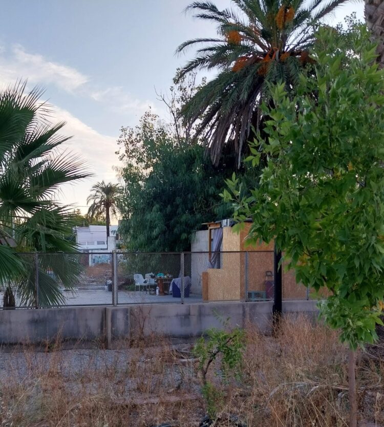 Catalá abandona la Universitat Popular de Nazaret, chabolismo y patio abandonado en un edificio municipal