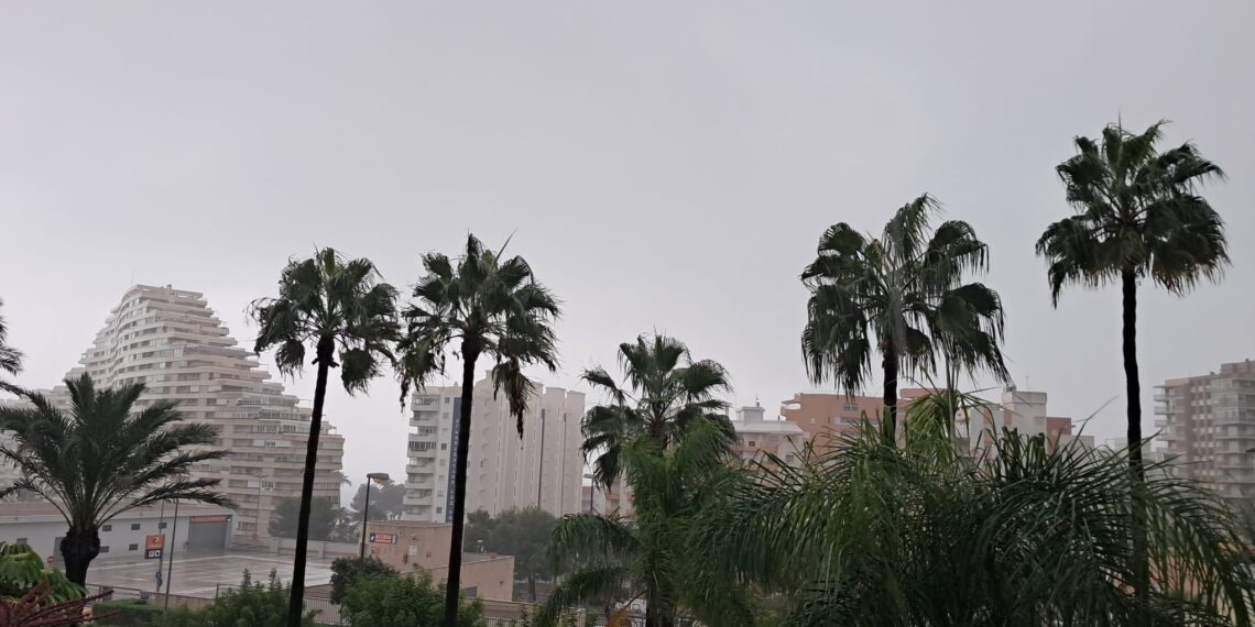 El área metropolitana de Valencia y la zona de Oliva acumulan las mayores precipitaciones esta mañana 1 El área metropolitana de Valencia y la zona de Oliva acumulan las mayores precipitaciones esta mañana