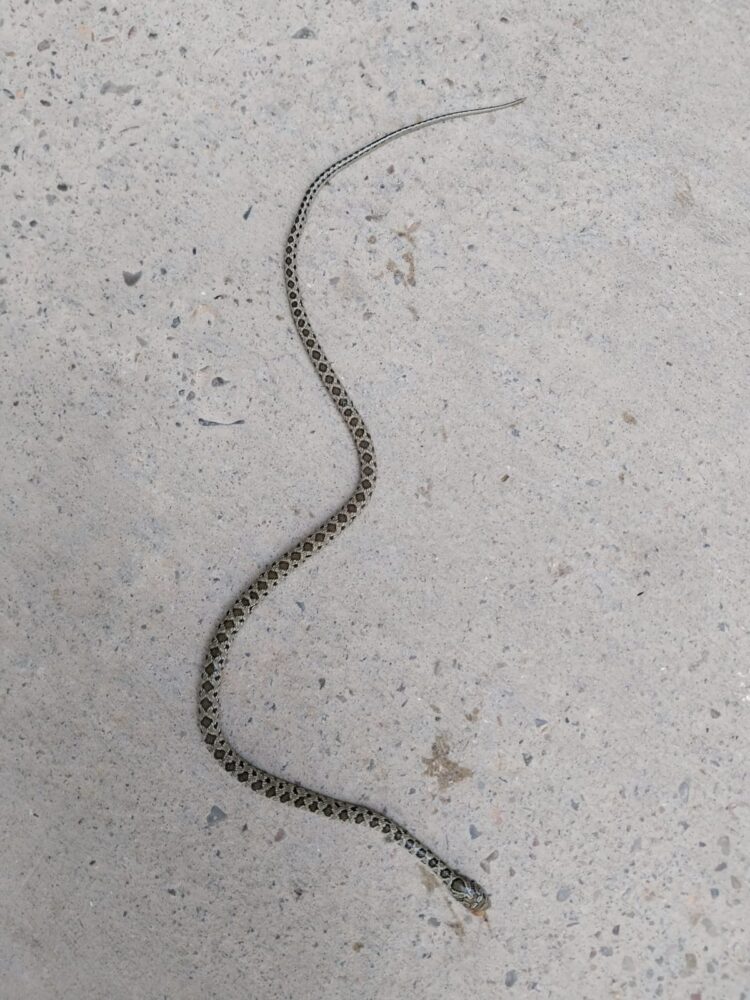 El abandono de Ribó a la Punta que prosigue Catalá: Los vecinos exigen un cambio