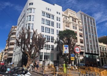 La extraña jardinería de Catalá en Valencia, abandono y dejadez. Al final Catalá ha resultado ser la mejor pupila de Ribó 18 La extraña jardinería de Catalá en Valencia, abandono y dejadez. Al final Catalá ha resultado ser la mejor pupila de Ribó