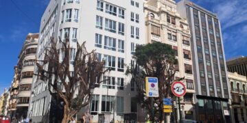 La extraña jardinería de Catalá en Valencia, abandono y dejadez. Al final Catalá ha resultado ser la mejor pupila de Ribó
