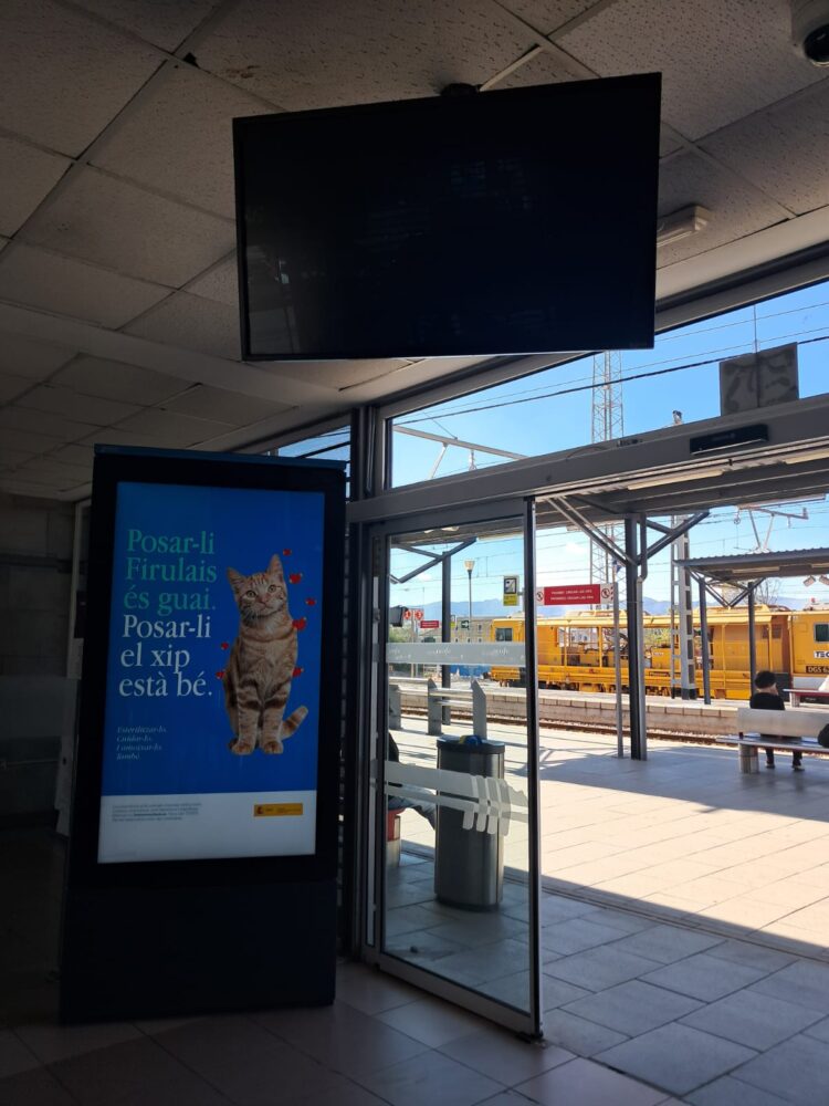 Cancelaciones, retrasos de más de media hora e incidencias desesperan a los viajeros de Cercanías Valencia- Gandía