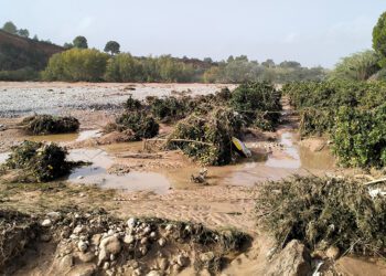 ¿Qué pasa con los campos que pasan a dominio público hidráulico tras la DANA?