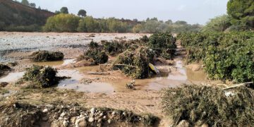 ¿Qué pasa con los campos que pasan a dominio público hidráulico tras la DANA?