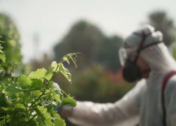 La Comisión Europea atiende la reivindicación de AVA-ASAJA y pospondrá el registro digital de los tratamientos fitosanitarios