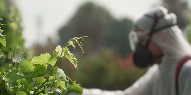 La Comisión Europea atiende la reivindicación de AVA-ASAJA y pospondrá el registro digital de los tratamientos fitosanitarios 1 La Comisión Europea atiende la reivindicación de AVA-ASAJA y pospondrá el registro digital de los tratamientos fitosanitarios