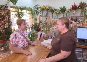 Las floristerías valencianas esperan un repunte de ventas por Todos los Santos y tras la DANA del año pasado 14 b5f52036 b9ab 4c89 8016 ea86911e247c 16 9 aspect ratio 1600w 0 scaled 1