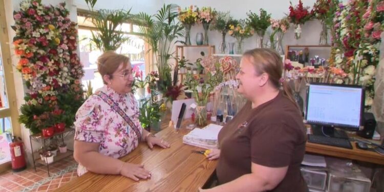 Las floristerías valencianas esperan un repunte de ventas por Todos los Santos y tras la DANA del año pasado 1 b5f52036 b9ab 4c89 8016 ea86911e247c 16 9 aspect ratio 1600w 0 scaled 1