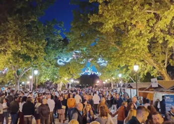 c0c1d44e 40f3 4eed 9905 4a3142c81ffb source aspect ratio default 0 scaled 1