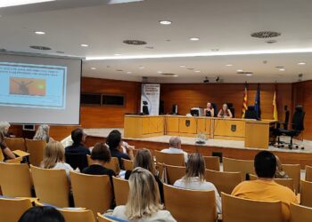 Cermi Cv y GVA Justicia inician los cursos sobre medidas de apoyo a las personas con discapacidad 2 Cermi Cv y GVA Justicia inician los cursos sobre medidas de apoyo a las personas con discapacidad