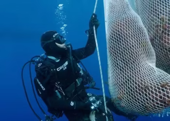 fotonoticia 20251010122835 617 31 31 0 0