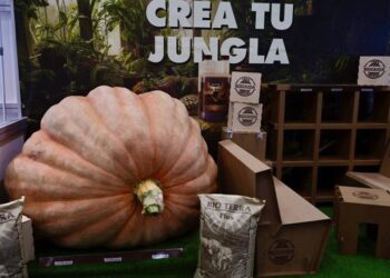 fotonoticia 20251014175034 690