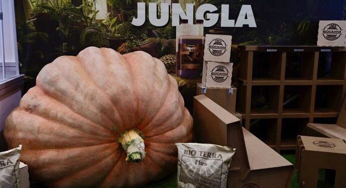 fotonoticia 20251014175034 690