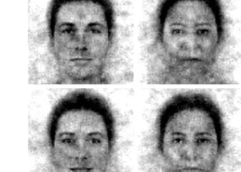 Un estudio de la UPV, la UV y el CSIC revela sesgos inconscientes que favorecen la promoción de hombres en puestos de liderazgo