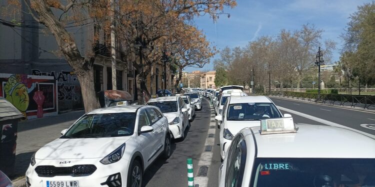 Los taxistas convocan paros y manifestaciones en toda la Comunitat Valenciana el 4 de noviembre 1 taxi 3