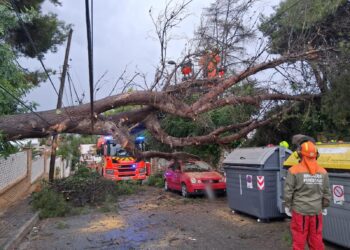 El Consorcio de Bomberos de Valéncia realiza cerca de 20 intervenciones por lluvia desde la llegada de la dana Alice