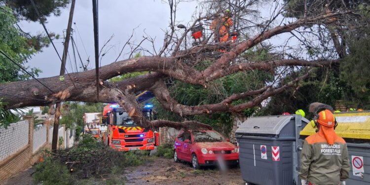 El Consorcio de Bomberos de Valéncia realiza cerca de 20 intervenciones por lluvia desde la llegada de la dana Alice