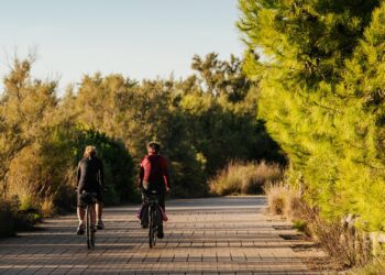 Valencia renueva el Sendero Azul de El Saler para 2026