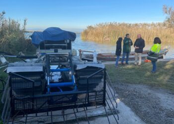 El Ajuntament de Valéncia retira 140 m³ de residuos de l’Albufera un año después de la DANA